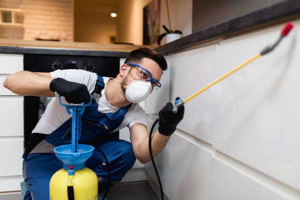 Best Bed Bug Extermination  in Poquoson, VA
