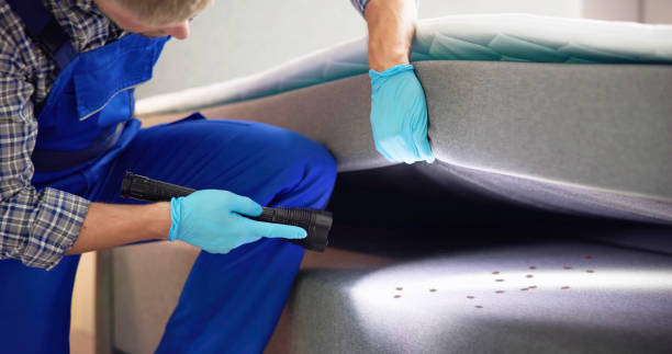 Best Best Pest Control Companies  in Poquoson, VA