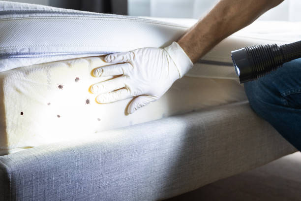 Best Pest Prevention Services  in Poquoson, VA