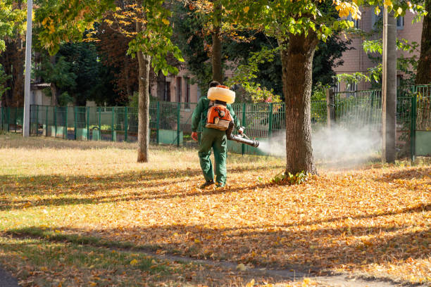 Best Termite Control Services  in Poquoson, VA