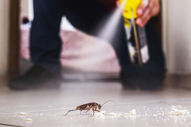 Best Affordable Pest Control Services  in Poquoson, VA