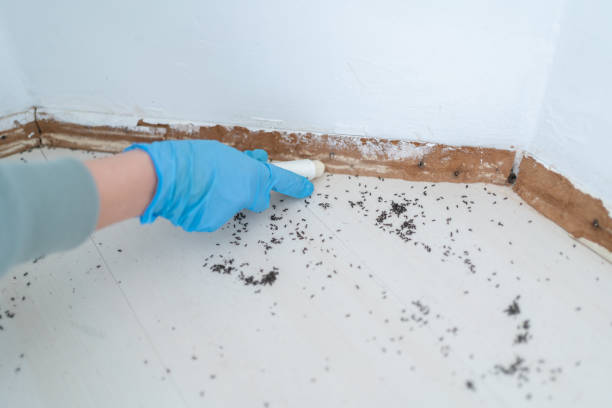 Best Pest Inspection Near Me  in Poquoson, VA