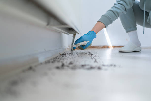Poquoson, VA Pest Control Company
